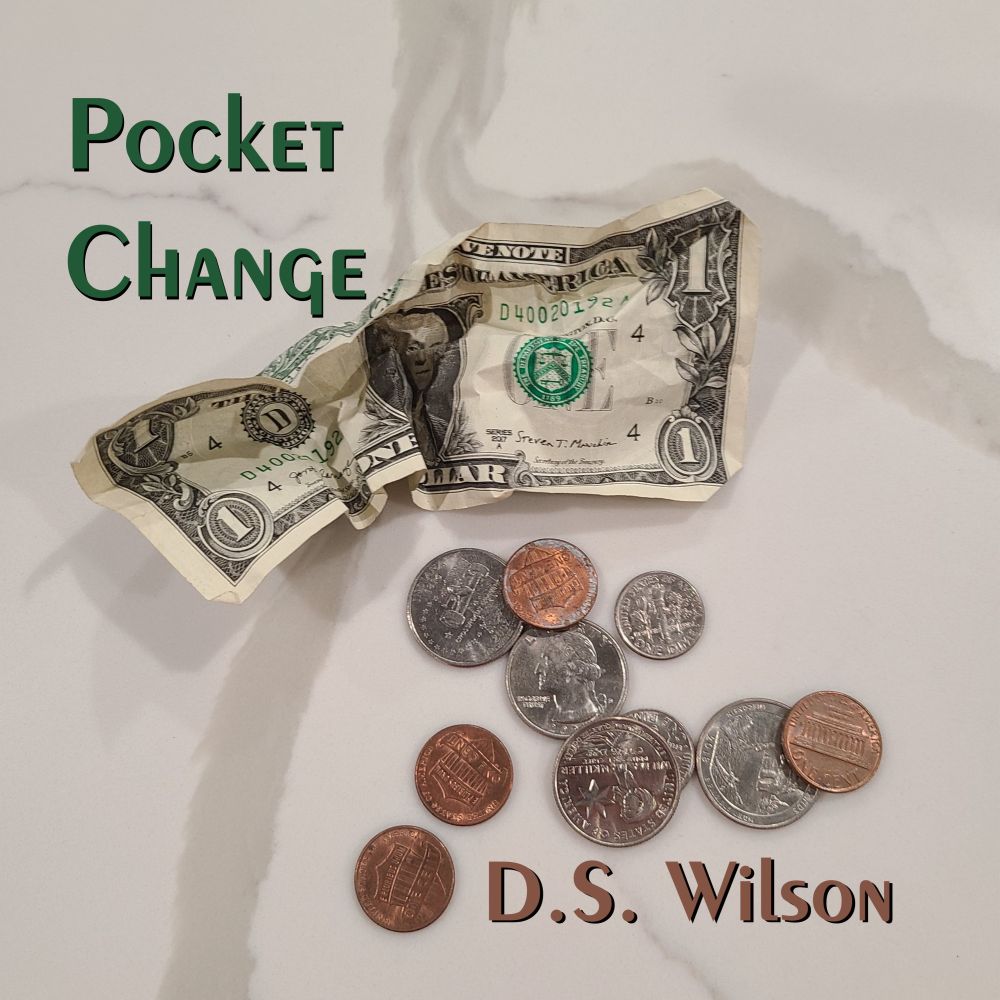 D.S. Wilson Pocket Change Single Cover art