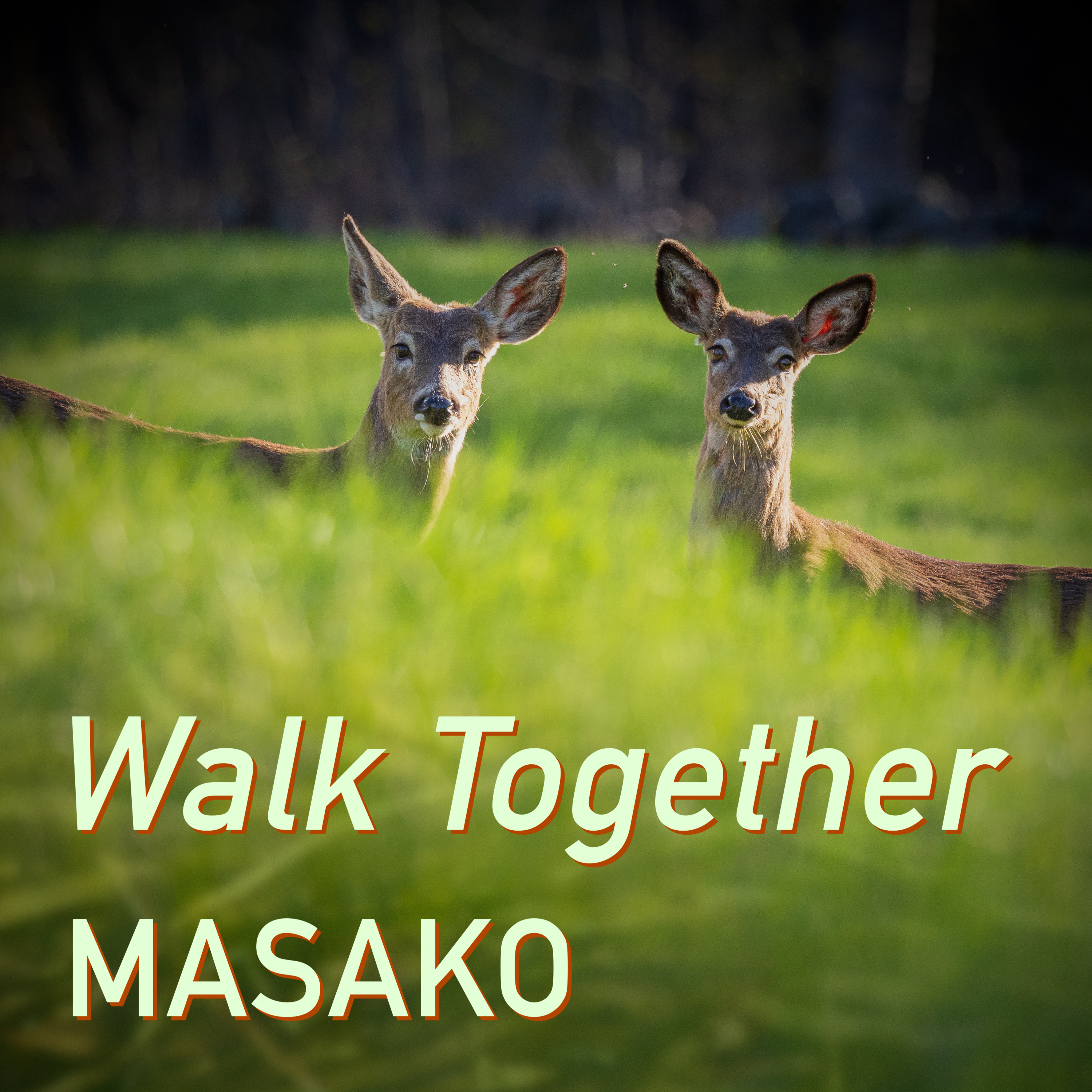 Walk Together cover