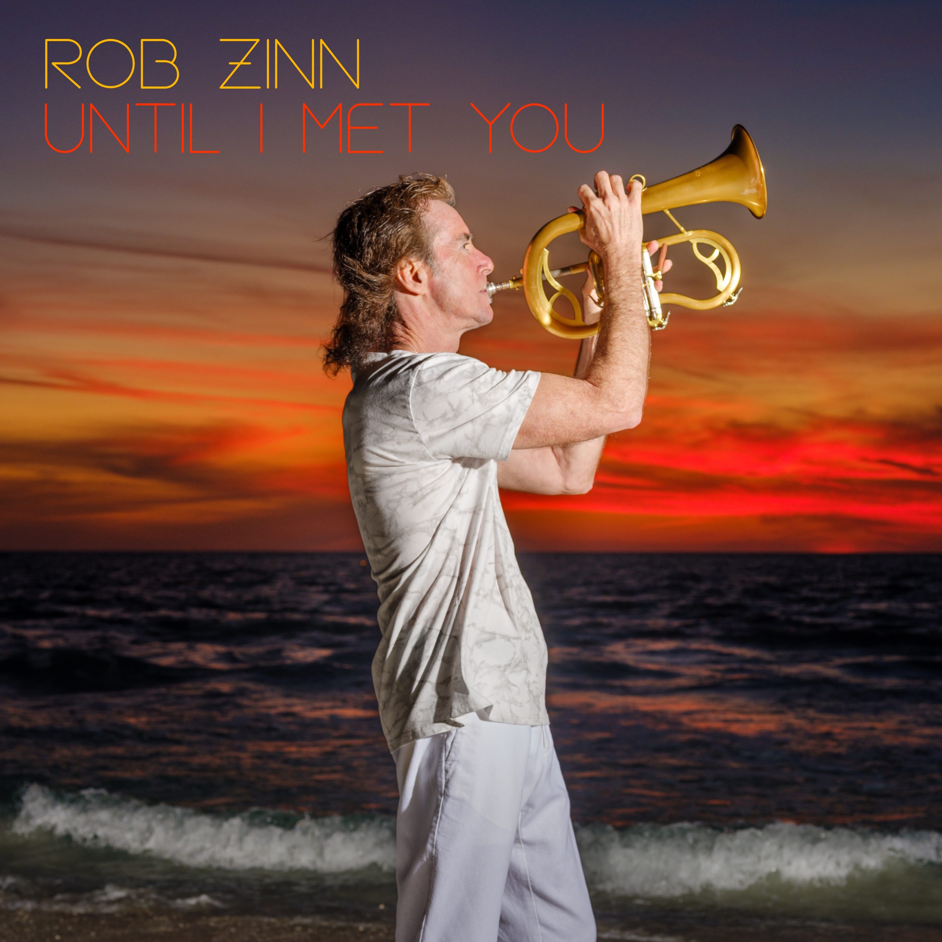 Rob Zinn Until I Met You cover art